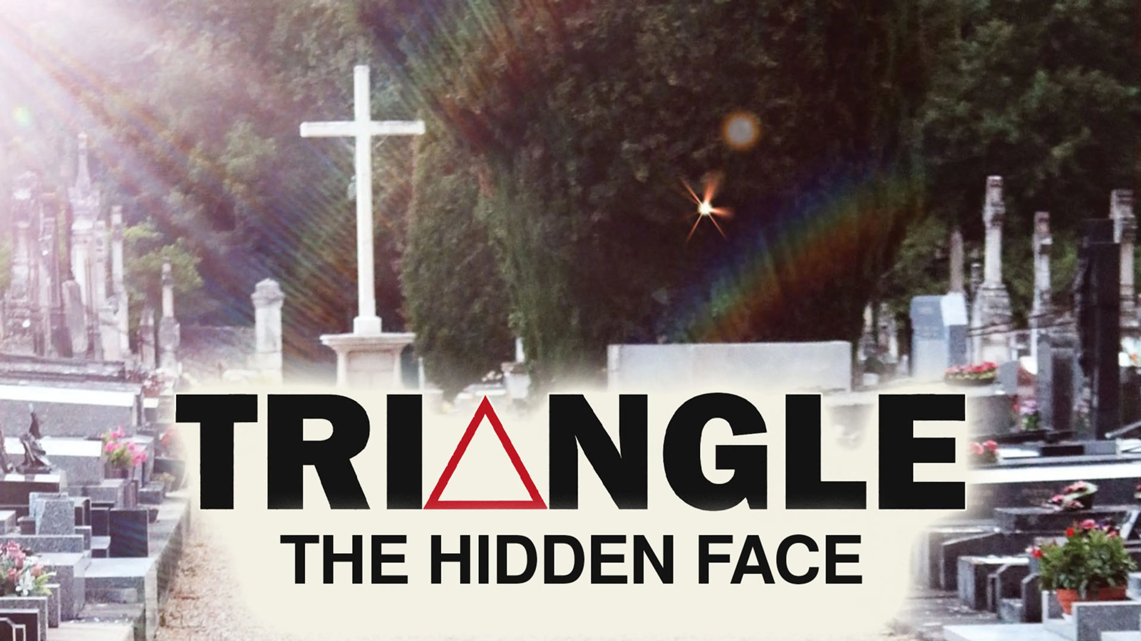 Triangle the Hidden Face poster